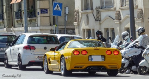 P1730109219fa.jpg