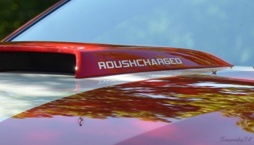 P1730316e82ec.jpg