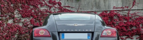 P1750021ce8aa.jpg