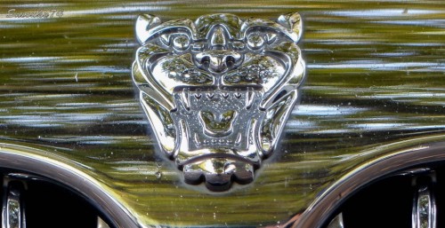 P176022411c27.jpg