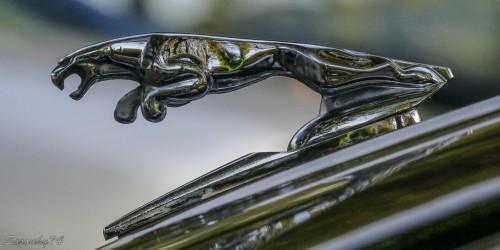 P17602288e9e8.jpg