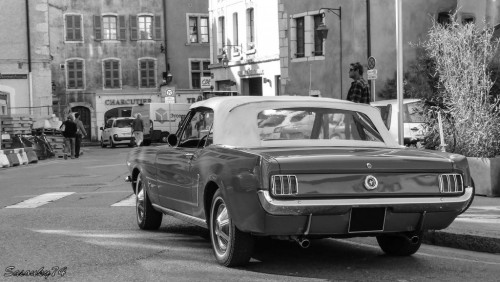 P1760790-2d7800.jpg
