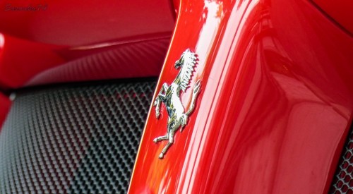 P1770224da15b.jpg