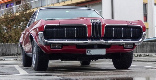 P17804390f1e1.jpg