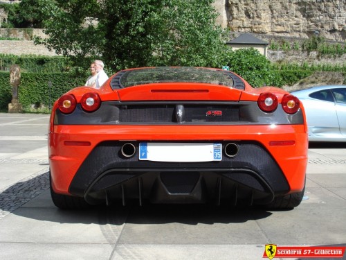 5206f43.jpg