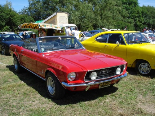 721728f.jpg