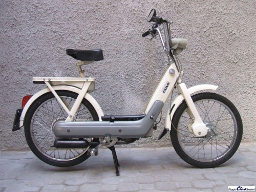 11da608.jpg
