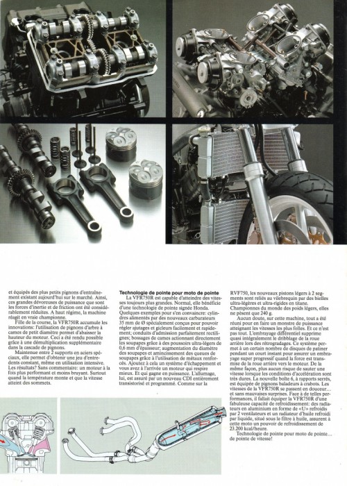255fd11.jpg