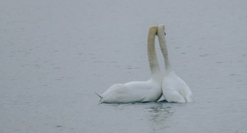 Lakeavril-21be6f2.jpg