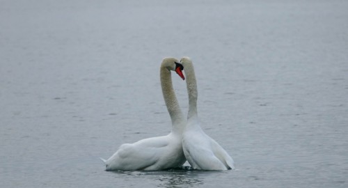 Lakeavril-22e6b8a.jpg
