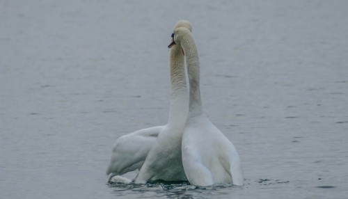Lakeavril-2743123.jpg