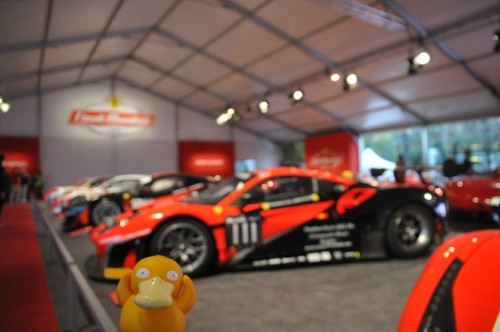 DSC_91818cc91.jpg