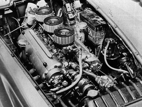 CAE9A4AA-2573-469C-BC2E-7530CDBAC8F399f8e.jpg