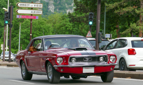 stang-3d468c.png