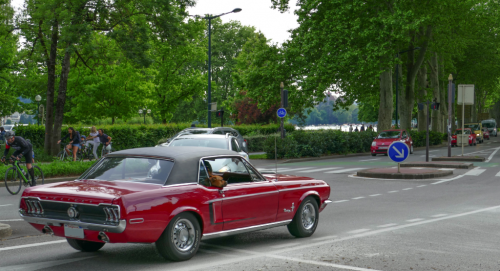 stang-54048f.png