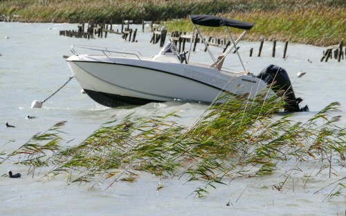 Natura-144f78c.jpg