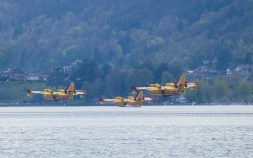 Canadair-232c0e1.jpg