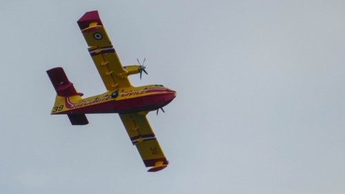 Canadair-3715e9b.jpg
