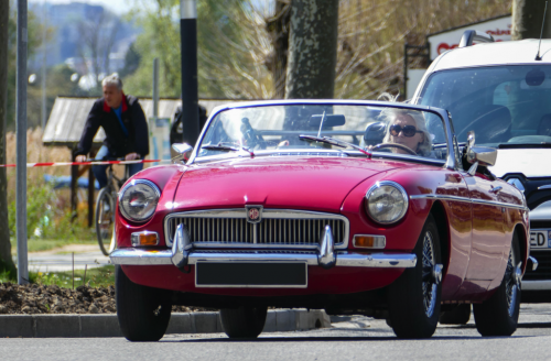 mg-3613a0.png