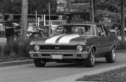 Chevelle-72b0a1.png