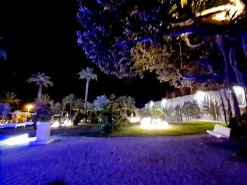 20210804_23023086397.jpg