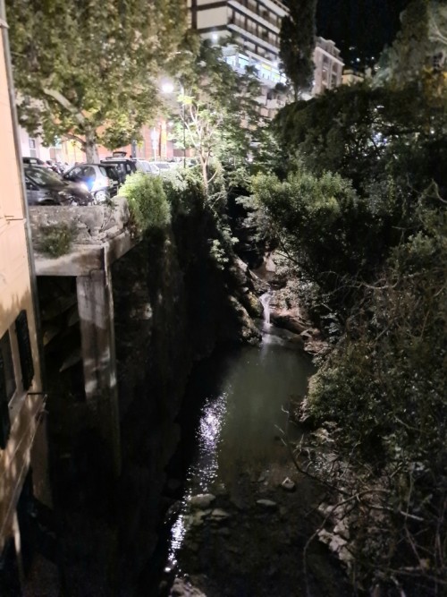 20210805_230629b88b3.jpg