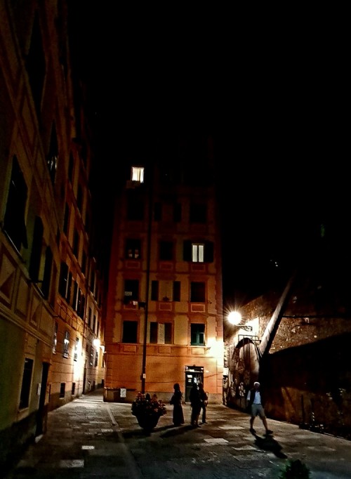 20210805_230455c497c.jpg
