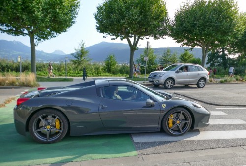 458spider-374471.jpg