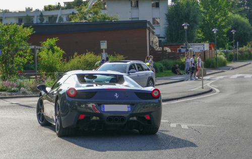 458spider-683502.png