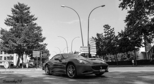 P1720304-2a757f.jpg