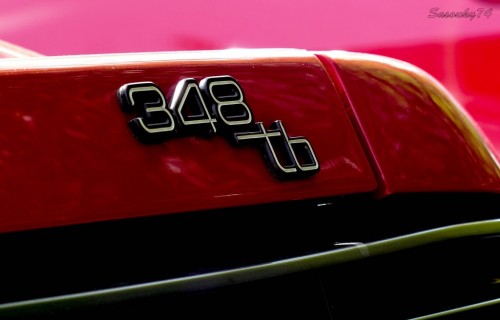 P1720438-2bbeff.jpg