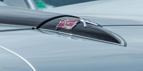P172065500cc6.jpg