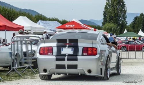 P172074094d8a.jpg