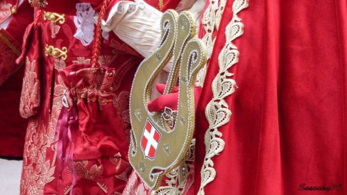 P17904518de46.jpg