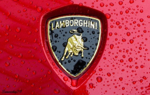 P17908285bd64.jpg