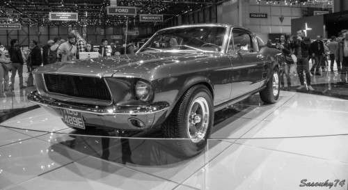 P1800168-001abd96.jpg