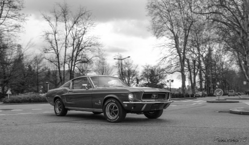P1810492-2d6a2d.jpg