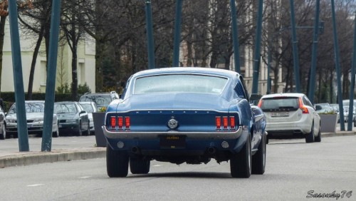 P1810494e965b.jpg