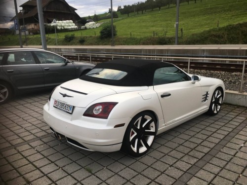 can01.anibis.ch31a559.jpg