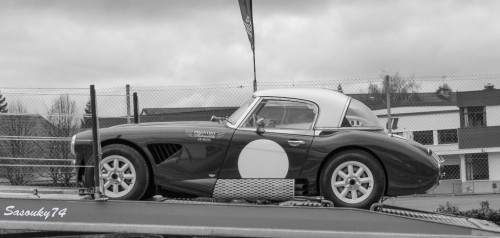 P1810691-2e53b8.jpg