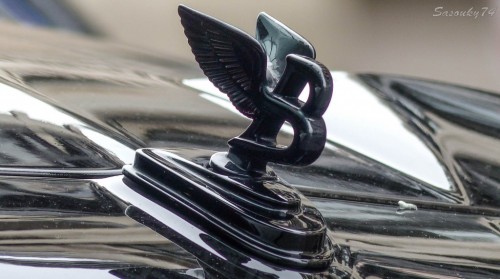 P1790849c1cc0.jpg