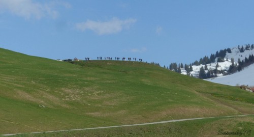 P183004194009.jpg