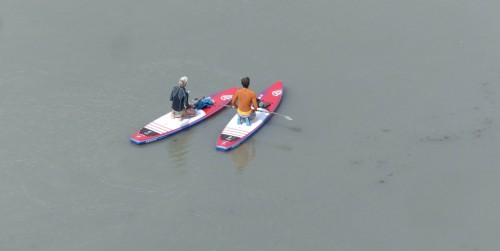 crossfire2018-108317a.jpg