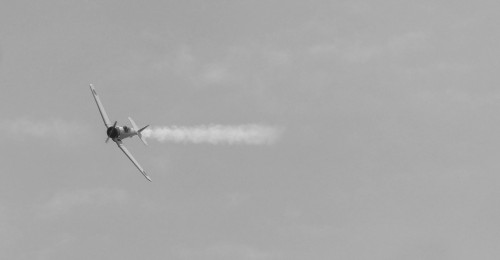 Avions-13fdcb7.jpg