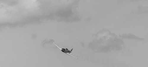 Avions-19ce8a1.jpg
