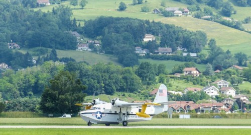 Canadaird4906.jpg