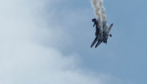 Flight-143f56f.jpg
