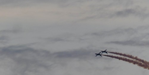 Flight-15db08e.jpg