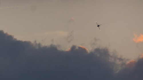 Flight-1695a84.jpg