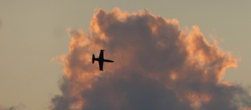 Flight-183d803.jpg